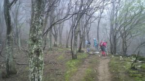 P1010009.jpg
