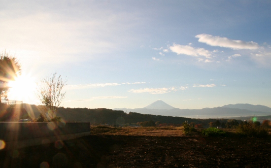 IMG_0017 (550x341)