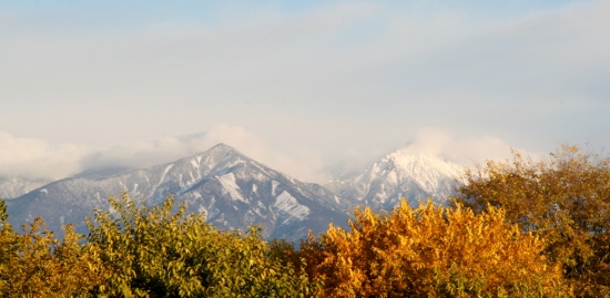 IMG_0025 (550x269)