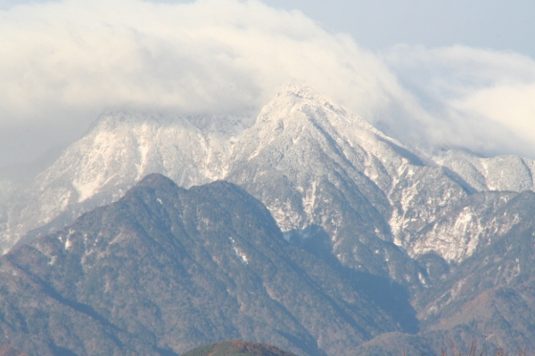 IMG_0061 (600x400)