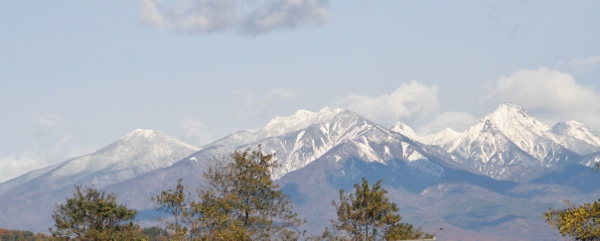 IMG_0079 (600x241) (2)