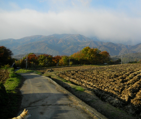DSCN4834 (550x464)