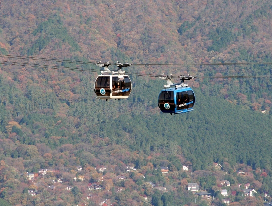 IMG_0152 (550x418)