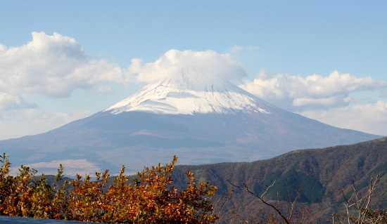 IMG_0185 (550x319)