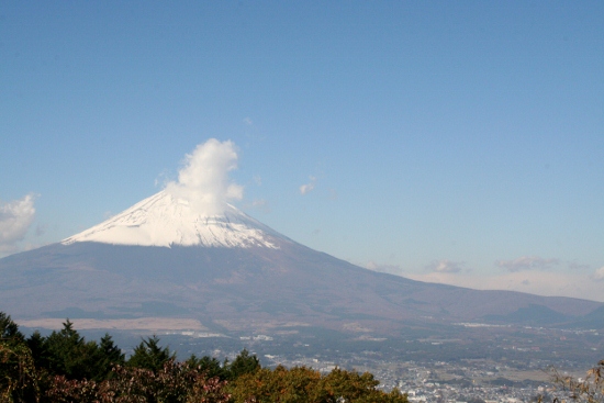 IMG_0046 (550x367)