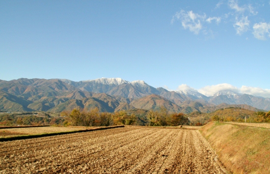IMG_0015 (550x354)