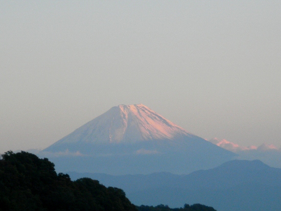 DSCN4717 (550x413)