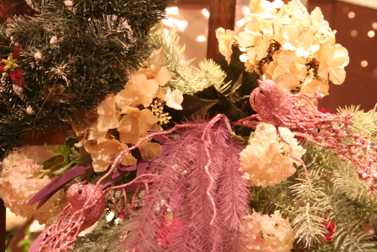 IMG_0022 (550x367)