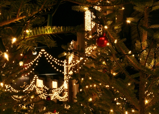 IMG_0070 (550x396)