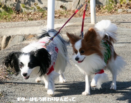 ぱぴまり9