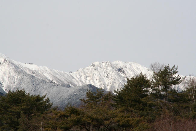 IMG_0207 (650x433)