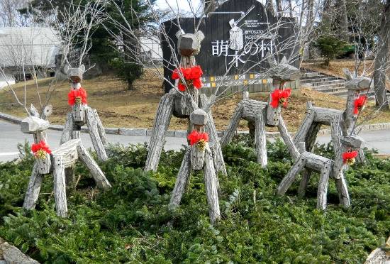 DSCN5966 (550x372)