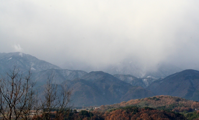 IMG_0311 (650x393)