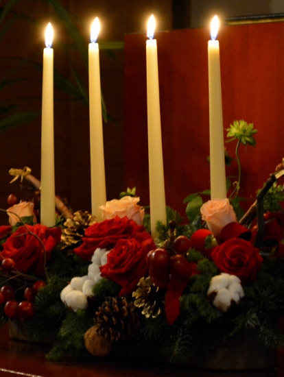DSC_0119 (414x550)