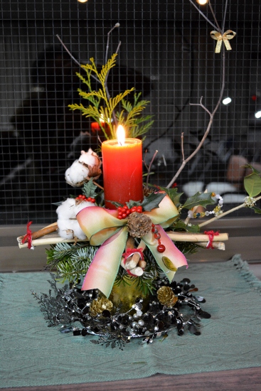 DSC_0111 (367x550)