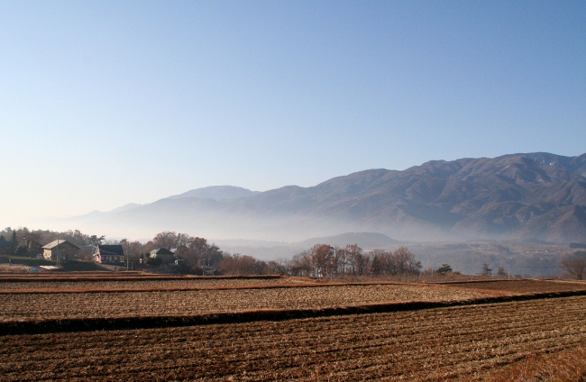 IMG_0002 (650x424)