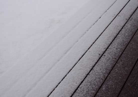 DSC_0306 (550x389)
