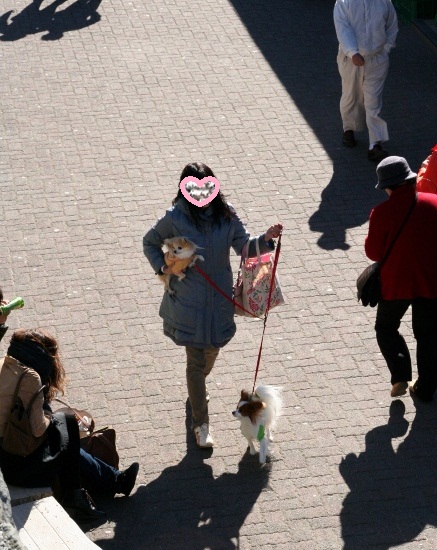 hakone1.jpg