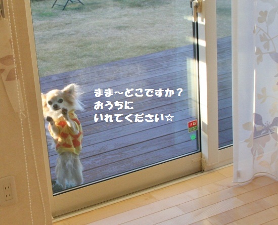 hoshi34.jpg