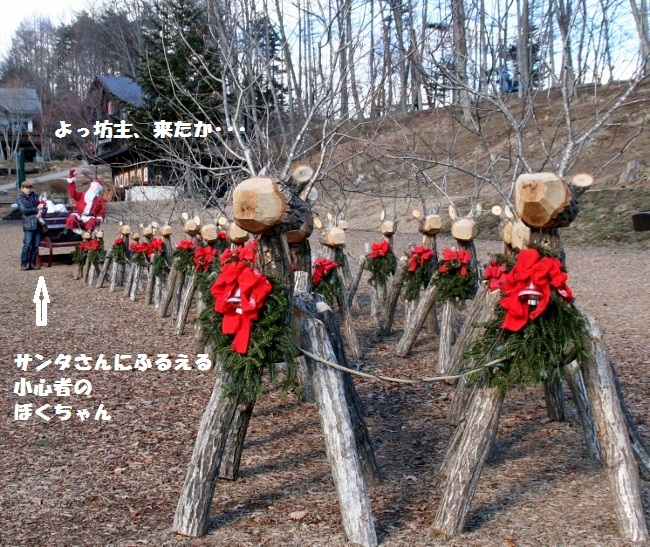 hoshi48.jpg