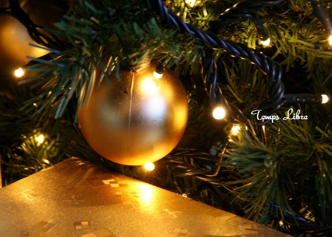 tree1.jpg