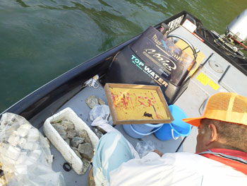 2012051002.jpg