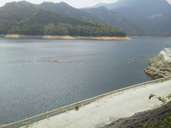 2012053004.jpg