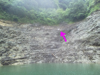 2012061603.jpg