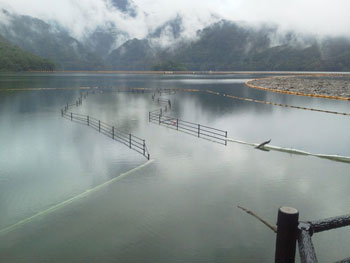 2012070305.jpg