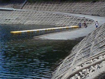 2012082001.jpg