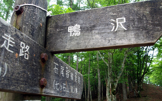 石尾根縦走路