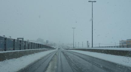 DSC01292.jpg