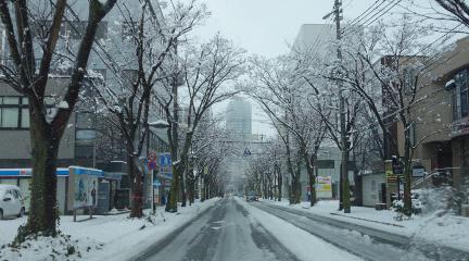 DSC01293.jpg