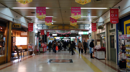 DSC01299.jpg