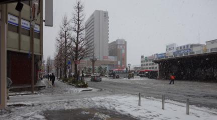 DSC01319.jpg