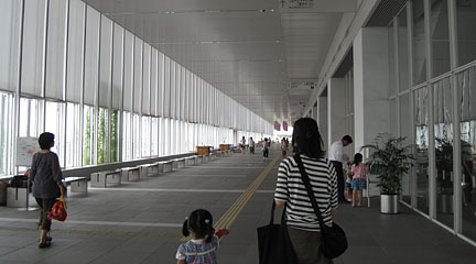 IMG_5550.jpg