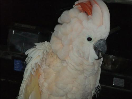 DSCF6626.jpg