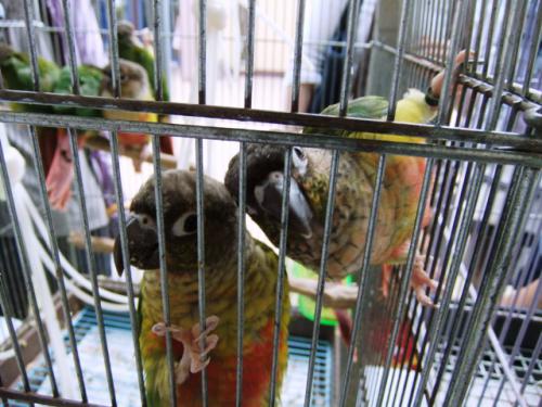 DSCF6859.jpg