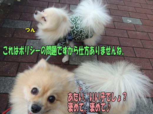 s-D121204SCN0649.jpg