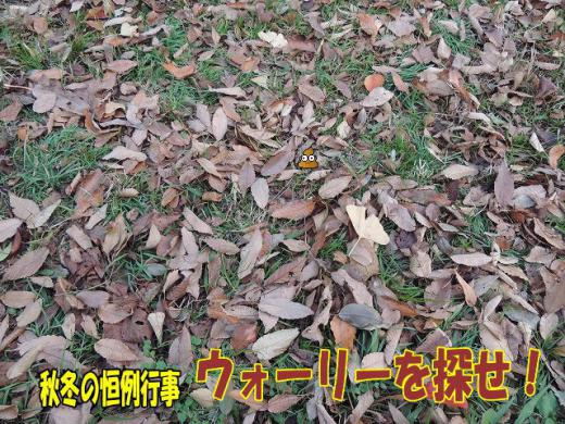 s-D121205SCN0732.jpg