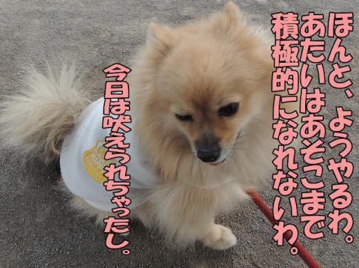 s-D121205SCN0768.jpg
