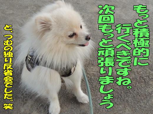 s-D121205SCN0769.jpg