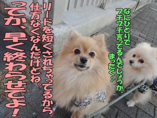 s-D121211SCN0973.jpg