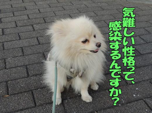 s-D121220SCN1203.jpg