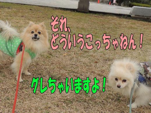 s-D121223SCN1215.jpg
