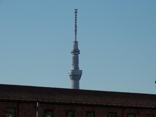 st-DSCN1211180042.jpg