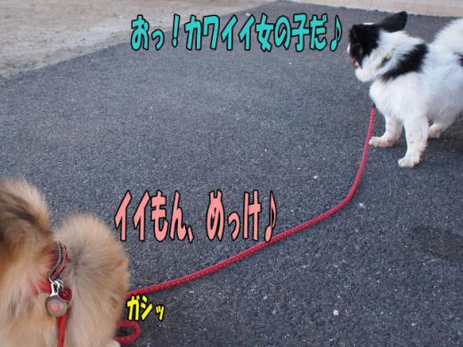 st-PA121013132461.jpg
