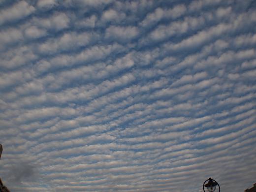 st-PA121013132486.jpg