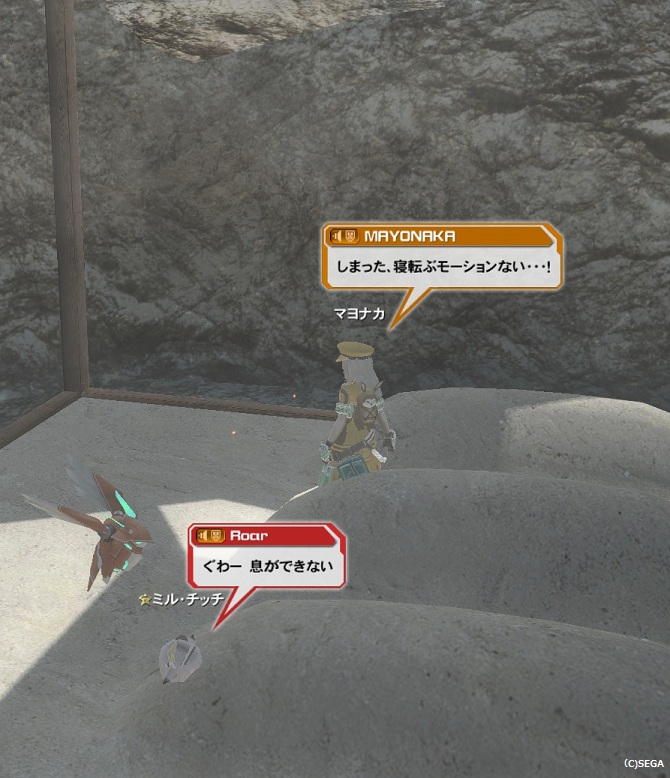 pso20130327_174234_013.jpg