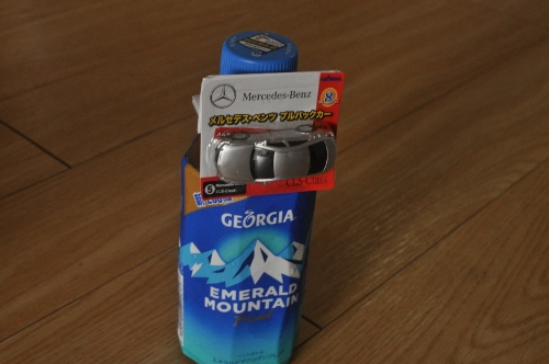 geogia1 (500x332)